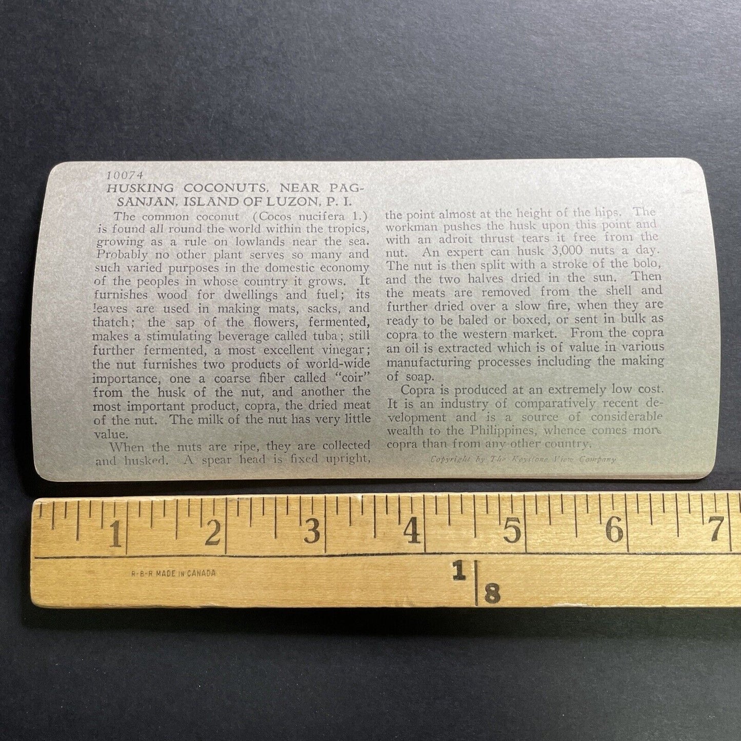 Antique 1906 Coconut Farming Pagsanjan Philippines Stereoview Photo Card P1468
