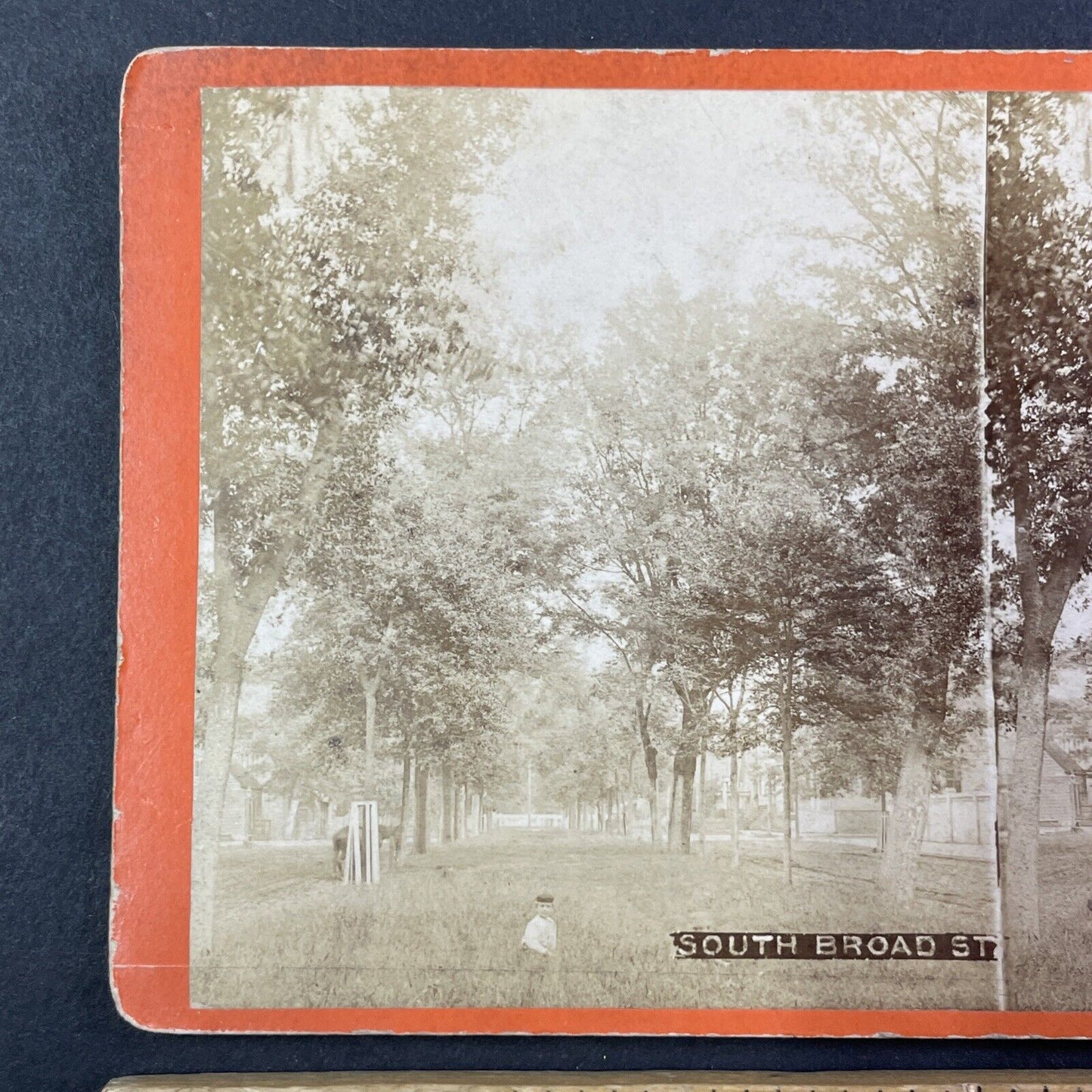 Savannah Georgia Oglethorpe Avenue Stereoview O. Havens Antique c1878 Y1763