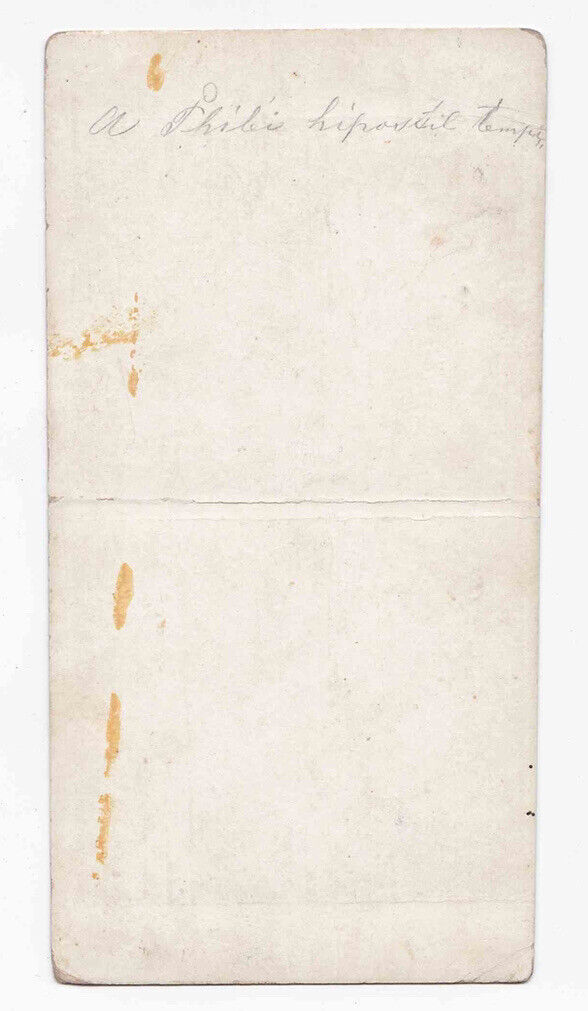 Antique 1860s Trajan's Kiosk Pharaoh's Bed Hypaethral Temple Stereo Card P258