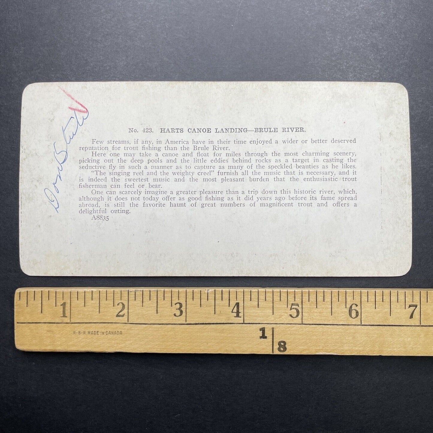 Antique 1899 Bringing Fish To The Cook Brule WI Stereoview Photo Card P580-068