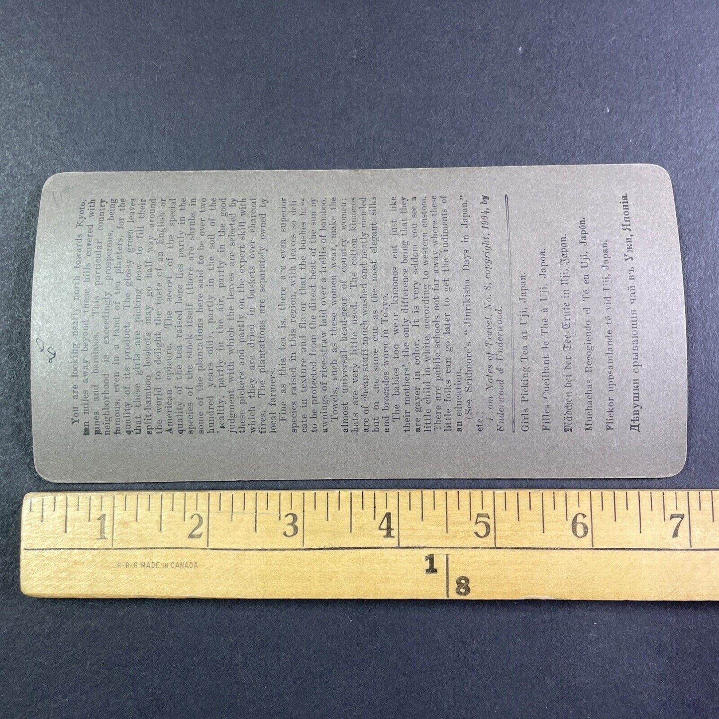 Girls Picking Tea Leaves in Uji Japan Stereoview Antique c1904 Y2842