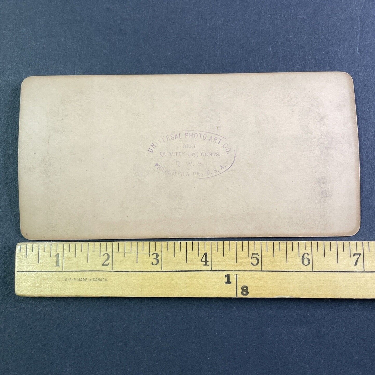 Little Girl With Her Puppies And Dog Stereoview CH Graves Antique c1899 X3516