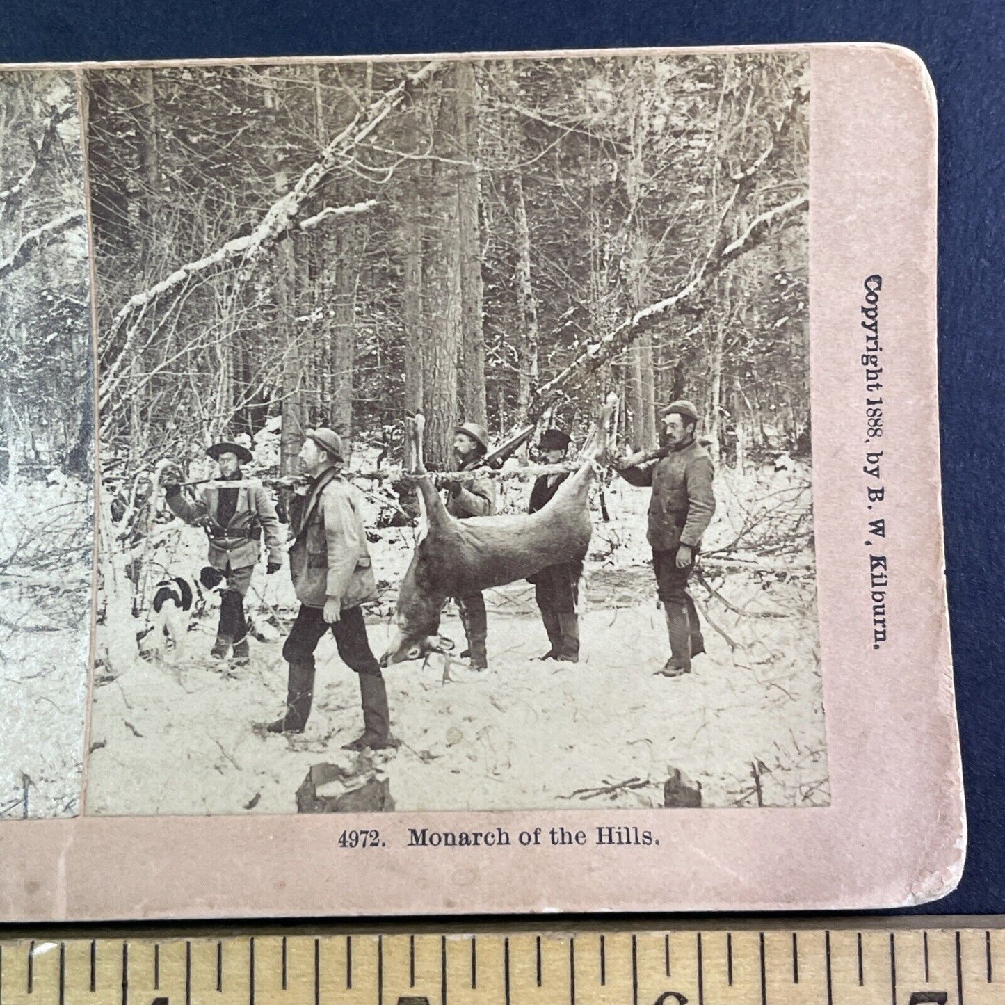 Hunters Carry a Deer in New Hampshire Stereoview Antique c1888 Y1393