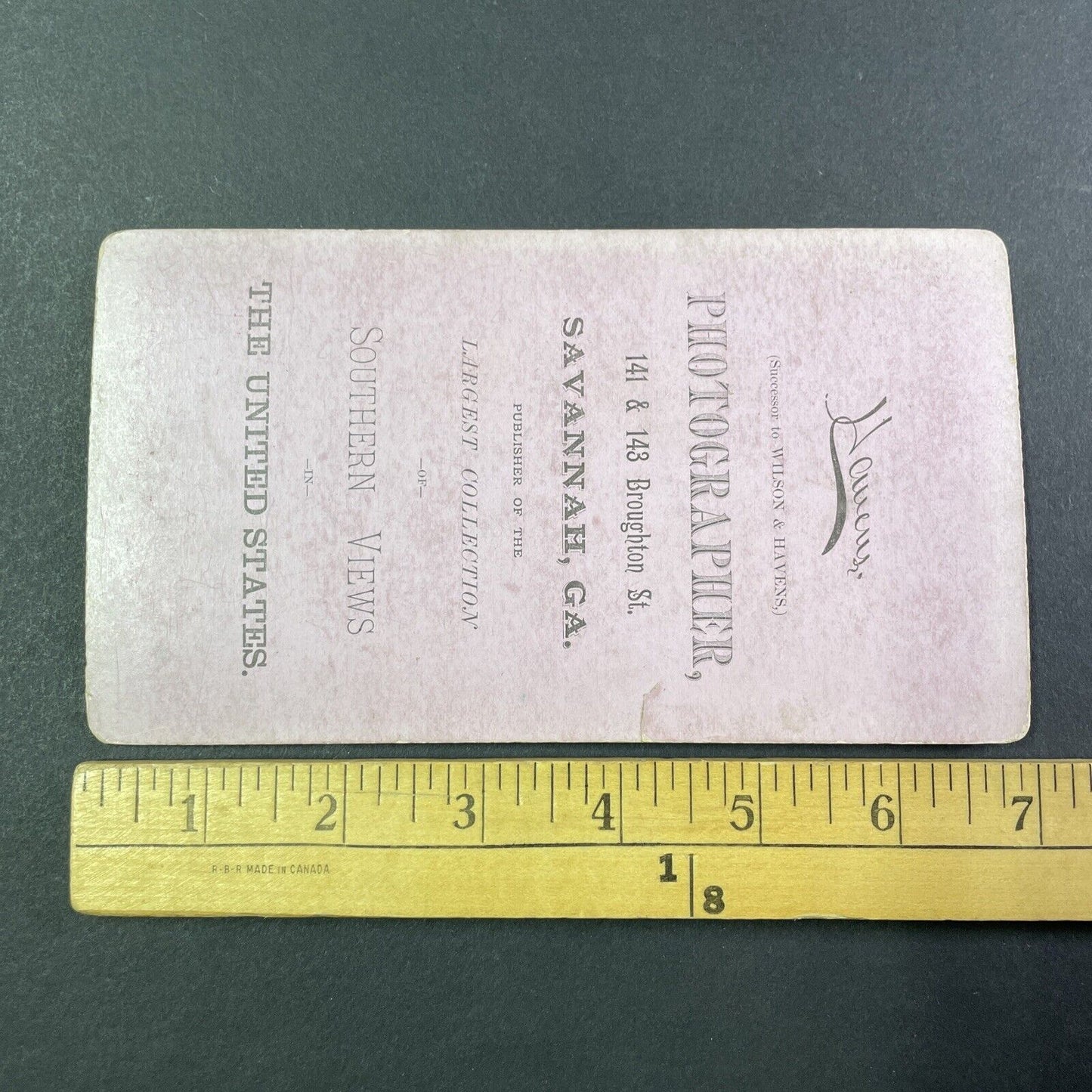 Palm Palmetto Tree Savannah Georgia Stereoview O. Havens Antique c1878 Y1762