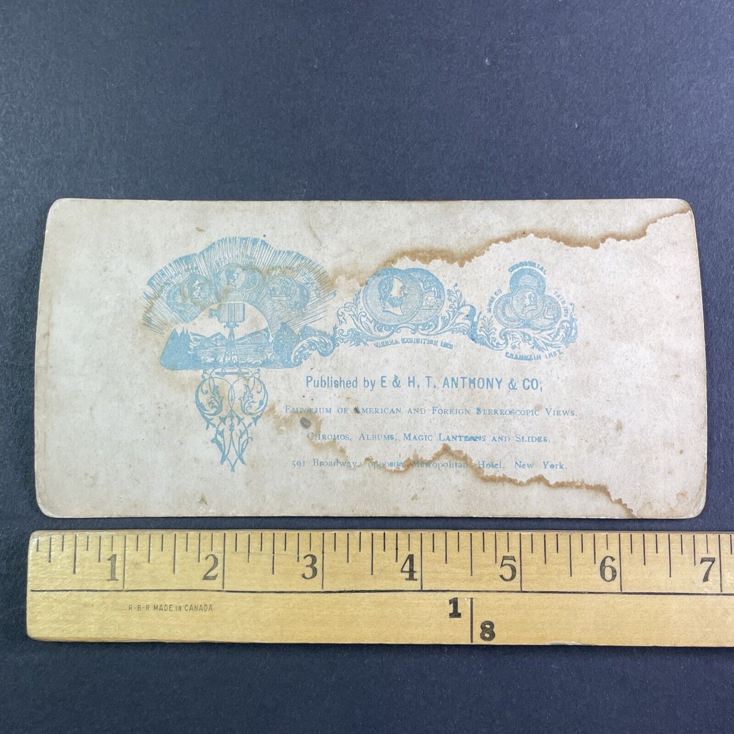 Capitol Building Greenhouse Washington DC Stereoview E & HT Anthony c1870s Y2492