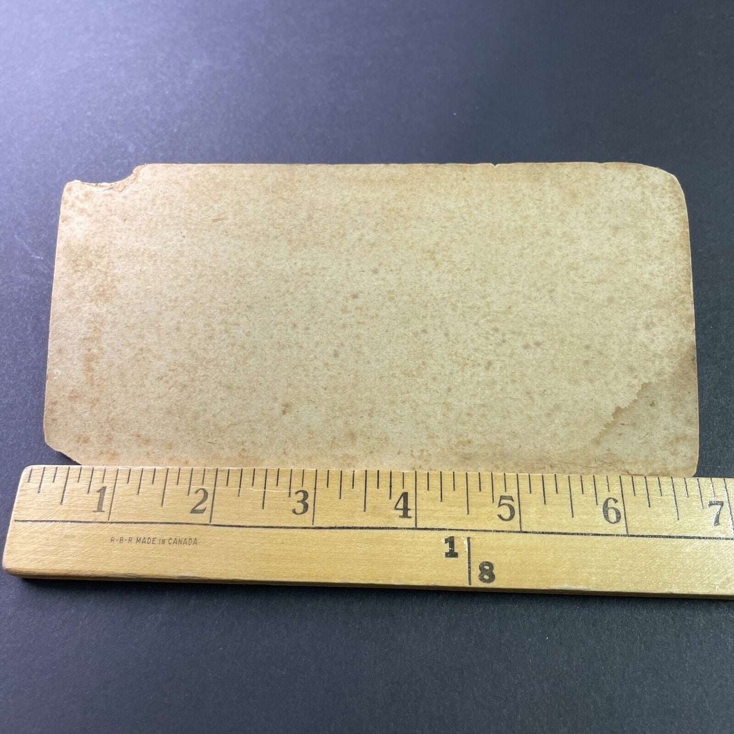 Antique 1870s Niagara Falls Gorge Landside New York Stereoview Photo Card P3301