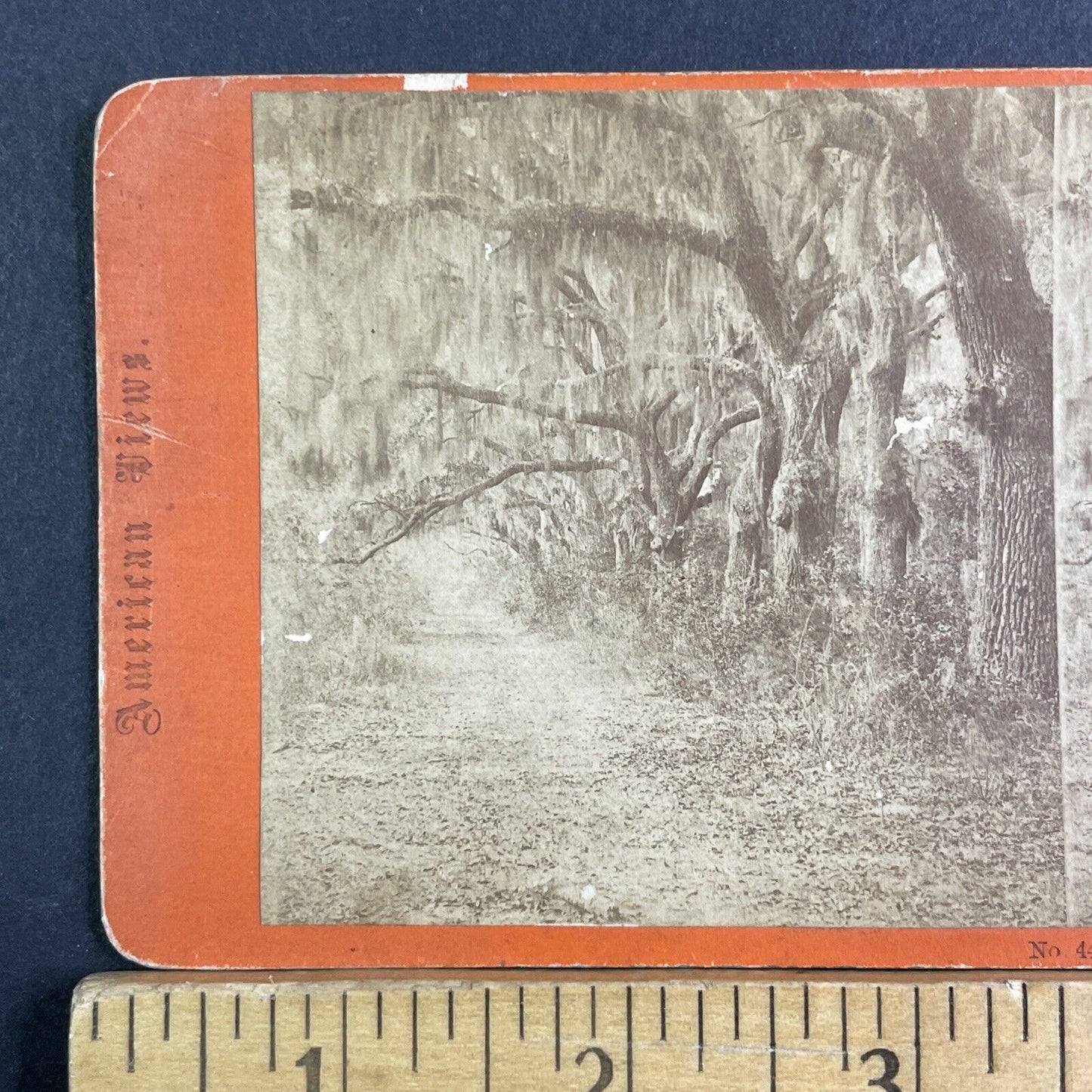 Bonaventure Cemetery Savannah GA Stereoview JP Soule Antique c1866 X3863
