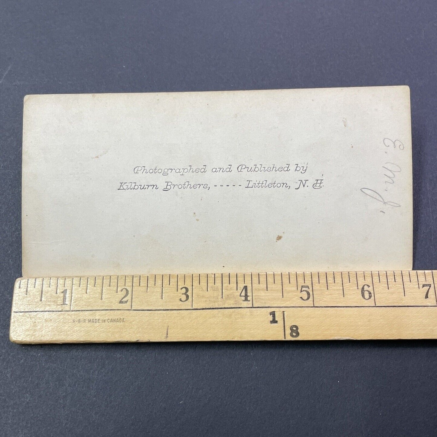 Antique 1870s Logging Trail Crawford Notch NH Stereoview Photo Card V1761