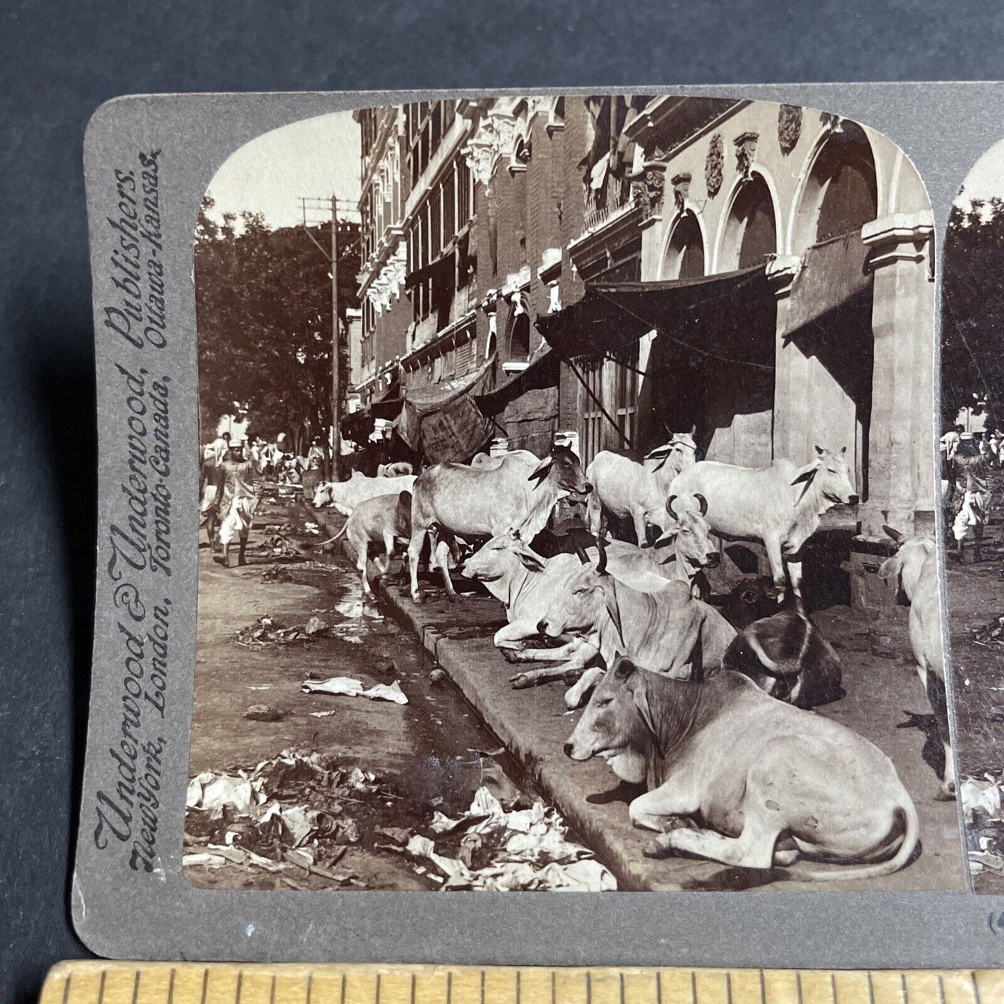 Antique 1903 Extreme Poverty In Calcutta India Stereoview Photo Card P4452