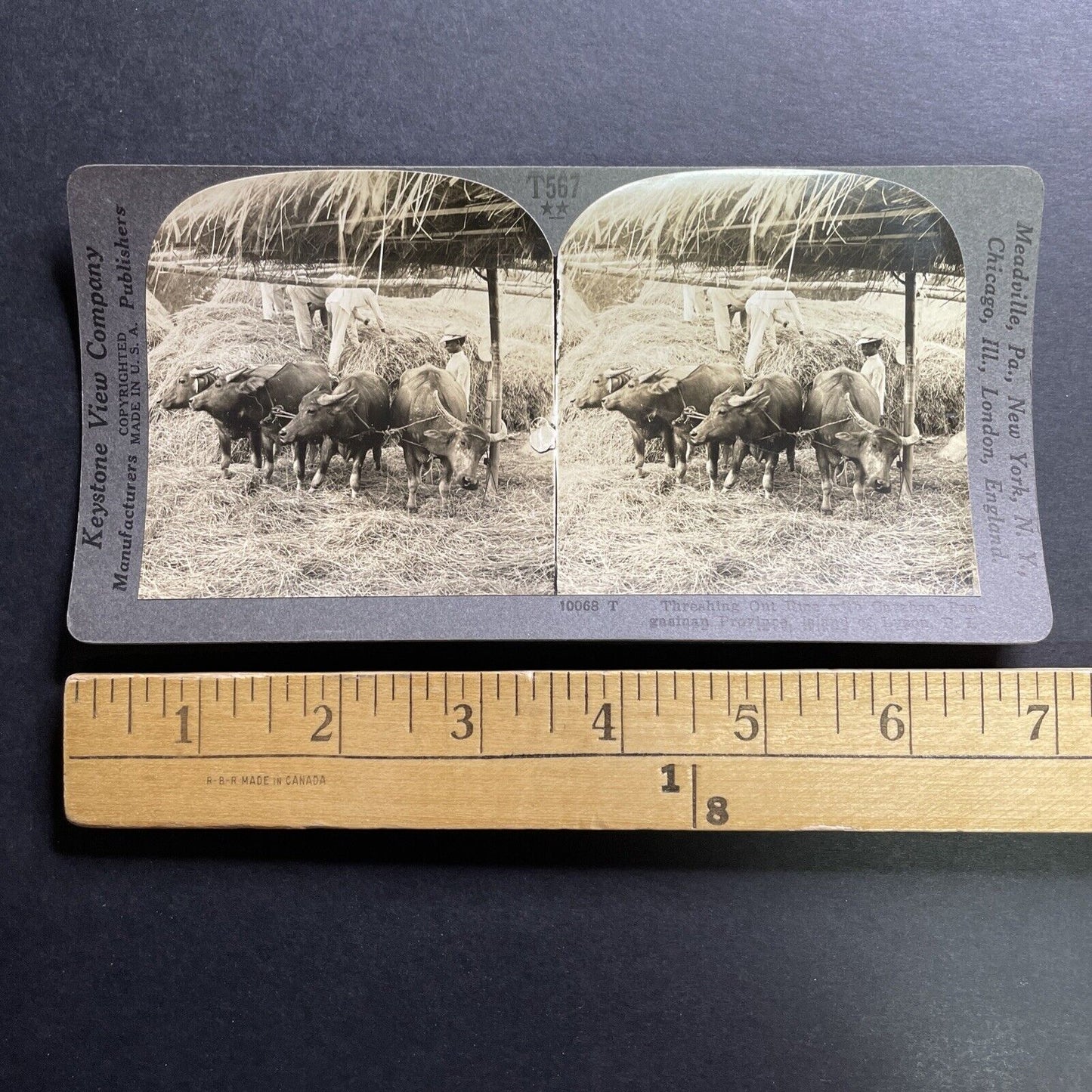 Antique 1906 Rice Farming Pagsanjan Philippines Stereoview Photo Card P1470