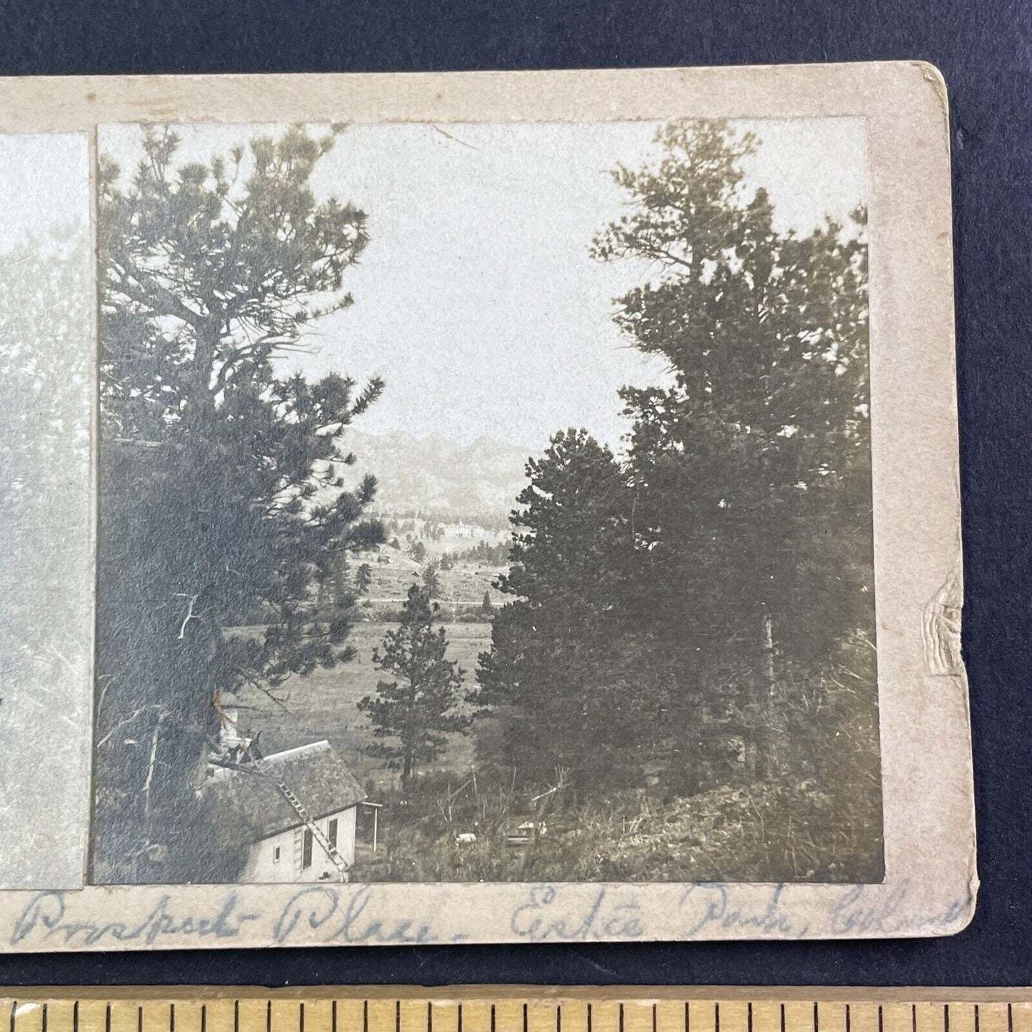 Pinney Ranch Estes Park Colorado Stereoview Prospect Mountain Antique c1885 Y081