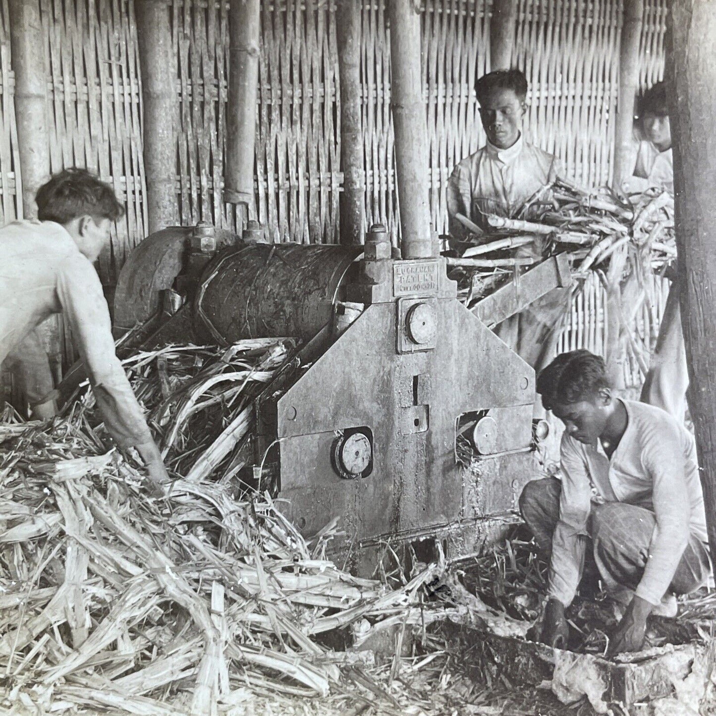 Antique 1906 Sugar Cane Grinder Manila Philippines Stereoview Photo Card P2119