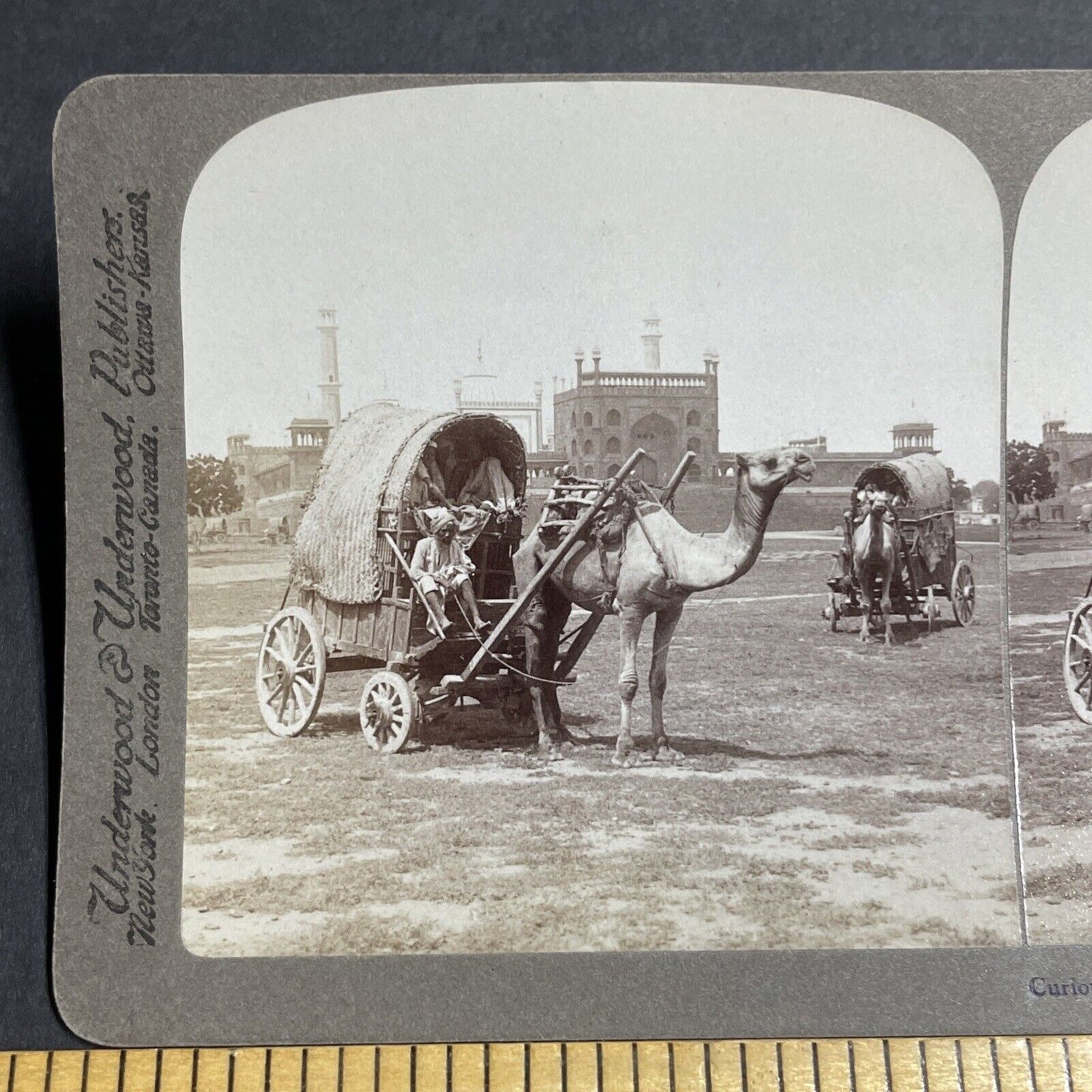Antique 1903 Camel Pulls A Covered Wagon In India Stereoview Photo Card P5656