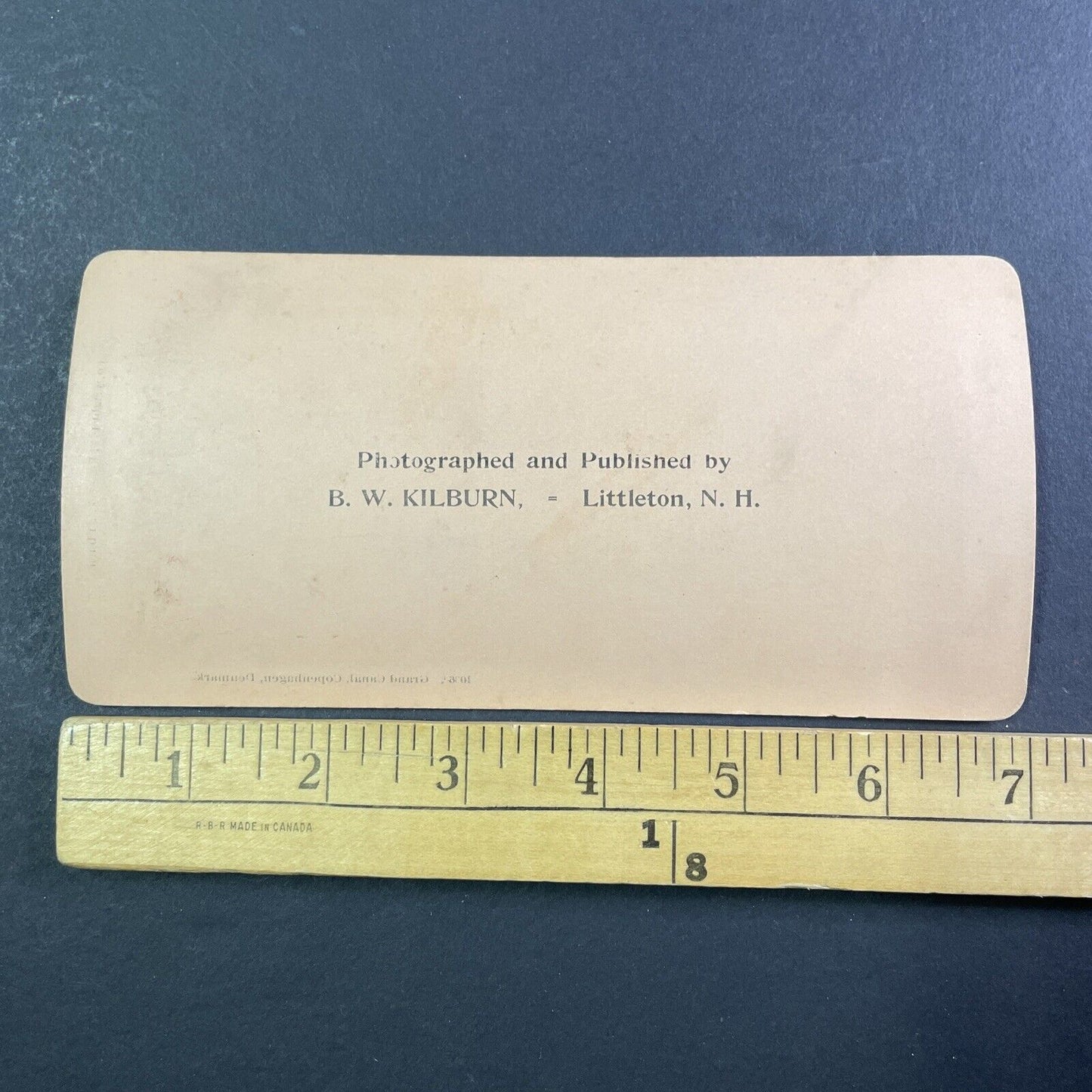 The Grand Canal In Copenhagen Denmark Stereoview James M. Davis c1896 X3760