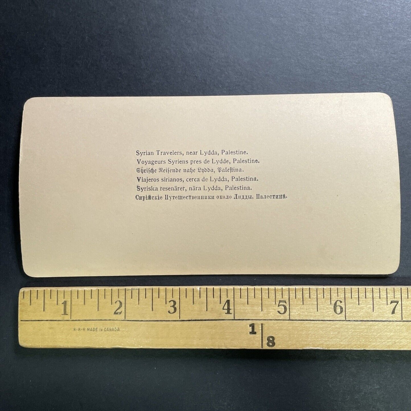 Antique 1900 Syrian Family On Camel Lydda Israel Stereoview Photo Card P1390