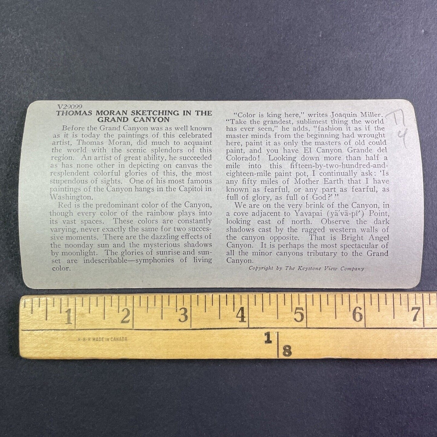 Thomas Moran Artist Yavapai Grand Canyon Arizona Stereoview Antique c1903 Y1162