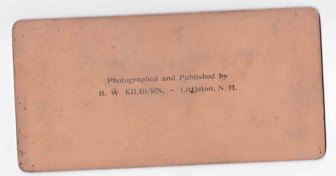 Antique 1898 Banana Plantation Alexandria Egypt Hand-Colored Photo Card P073