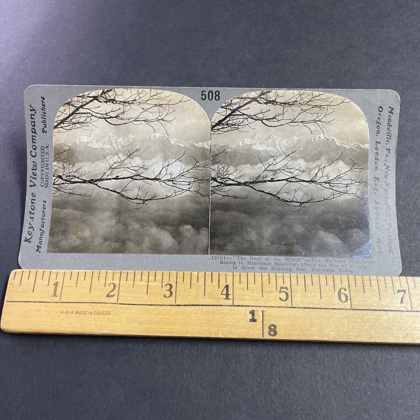 Antique 1910s Himalayas Mountains Nepal Stereoview Photo Card P3620