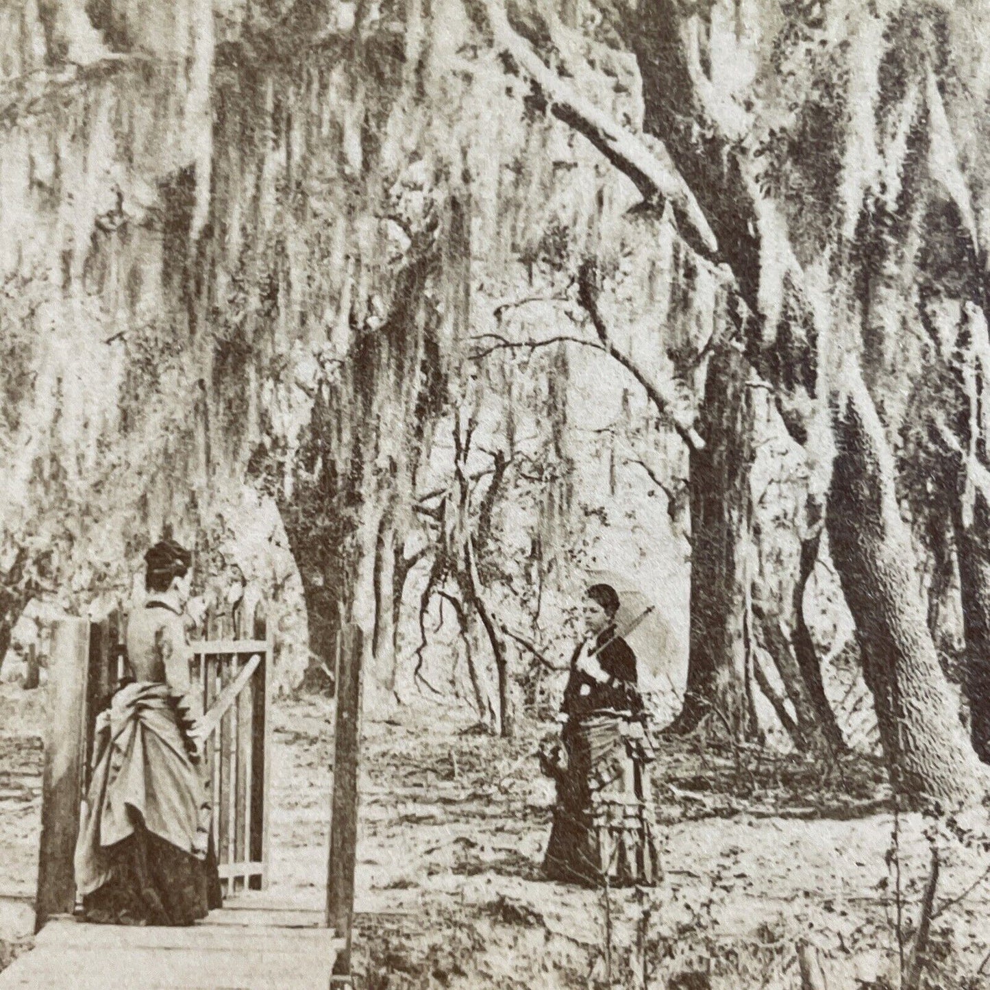 Antique 1860s Rich Women Hibernia Plantation Florida Stereoview Photo Card P4138