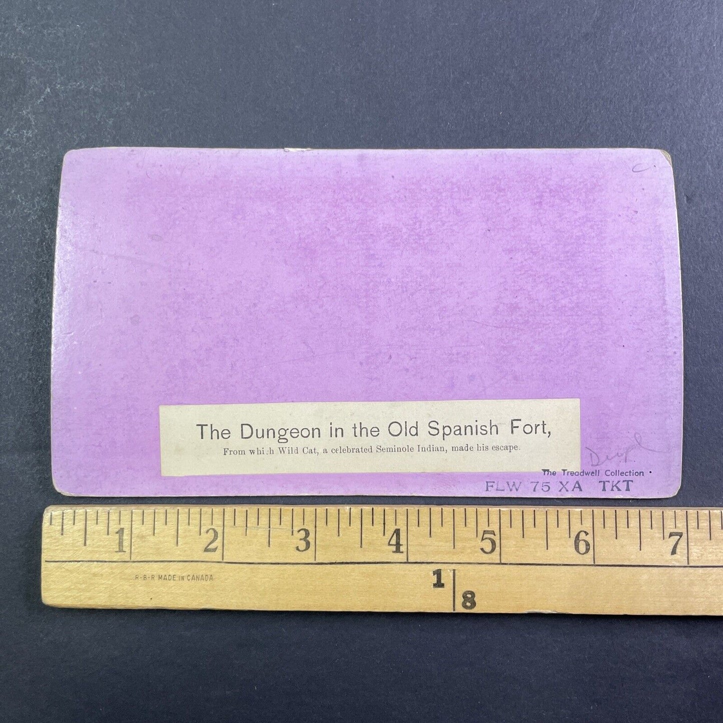 Wild Cat Seminole Native Indian Dungeon Stereoview St. Augustine FL c1870 Y069