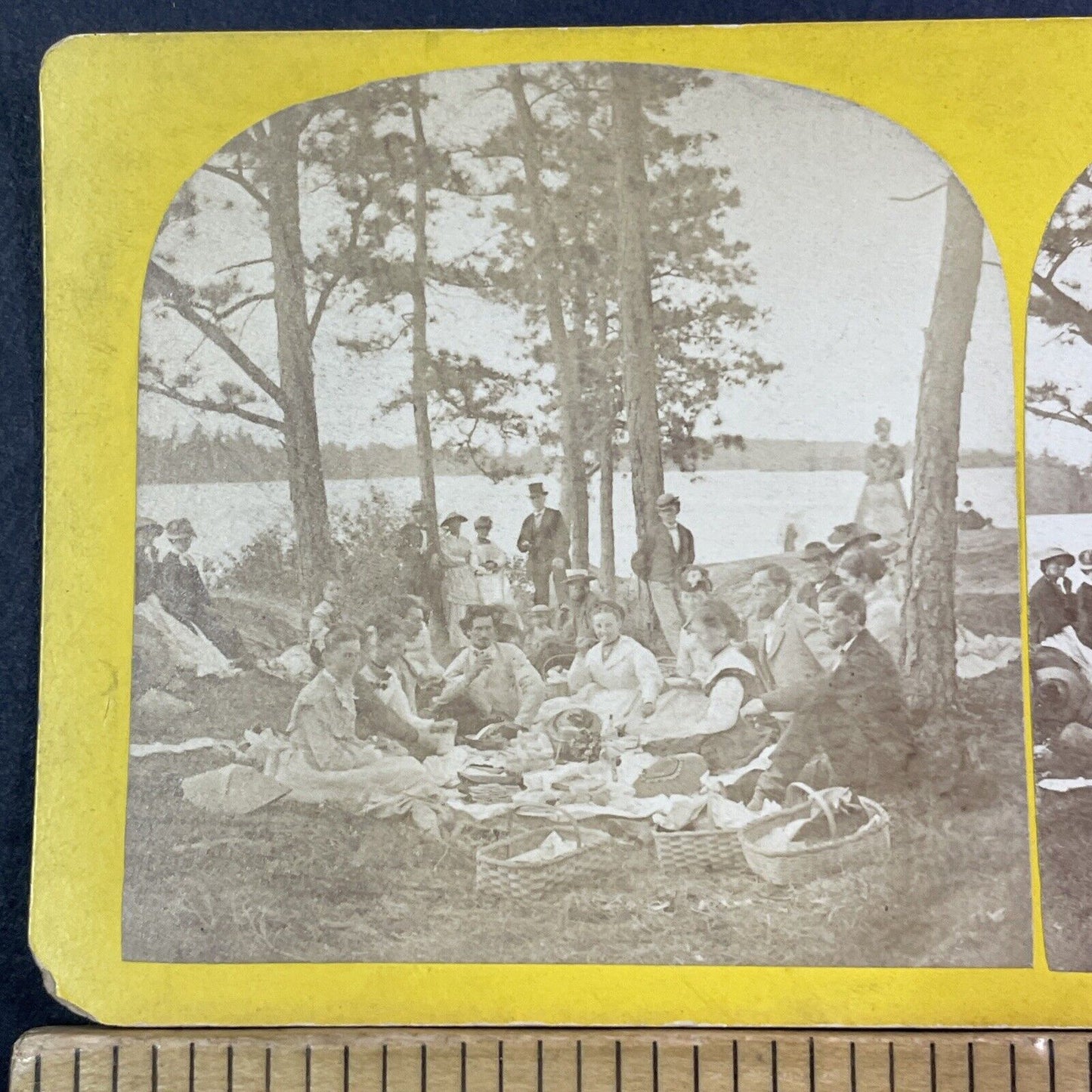 St. Lawrence Park Fernbank Ontario Stereoview Brockville Antique c1870 X1320