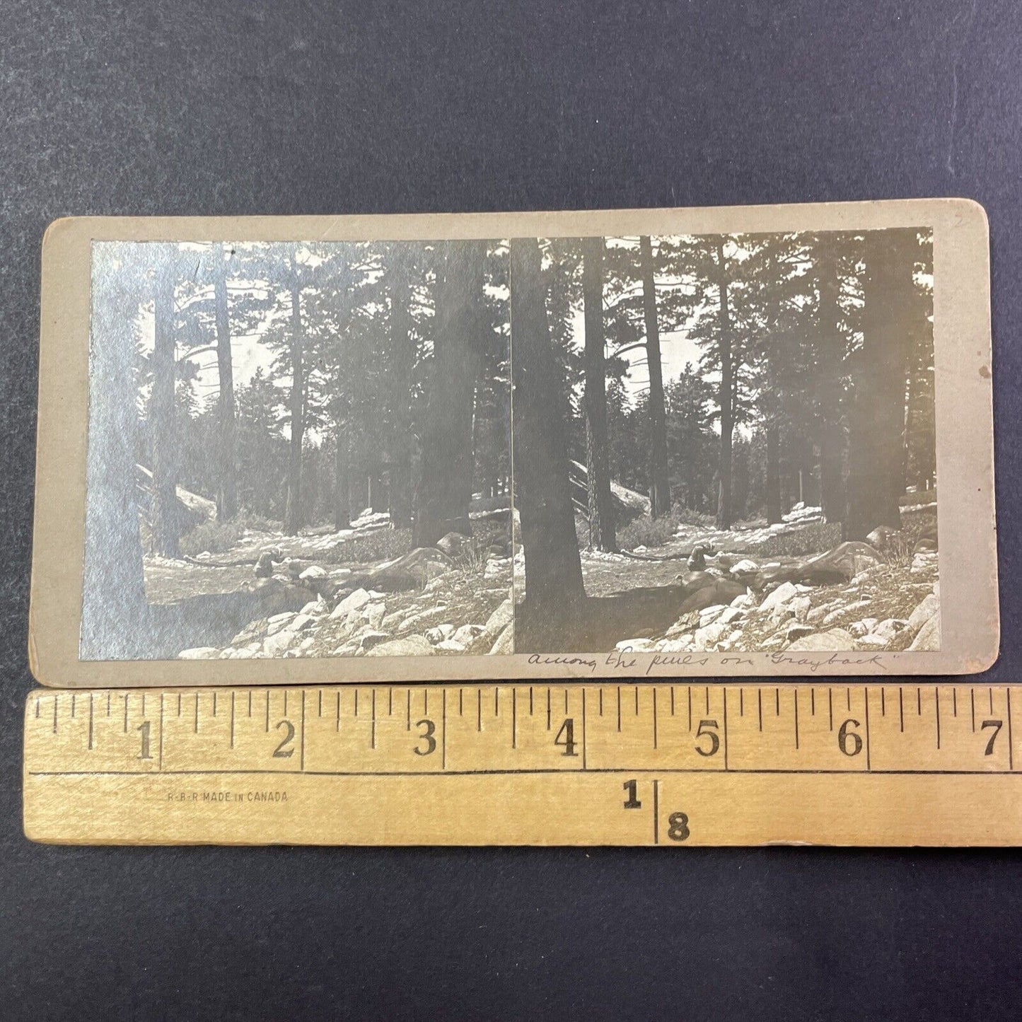 Grayback Mountain Trail Road Stereoview Williams Oregon Antique c1885 X2757