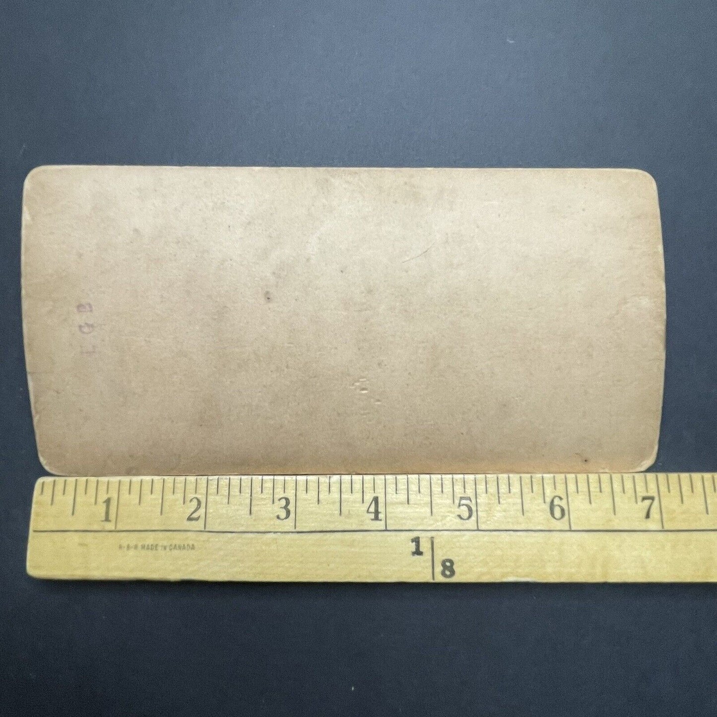 Antique 1890s Fairmount Park Philadelphia PA Stereoview Photo Card P1872