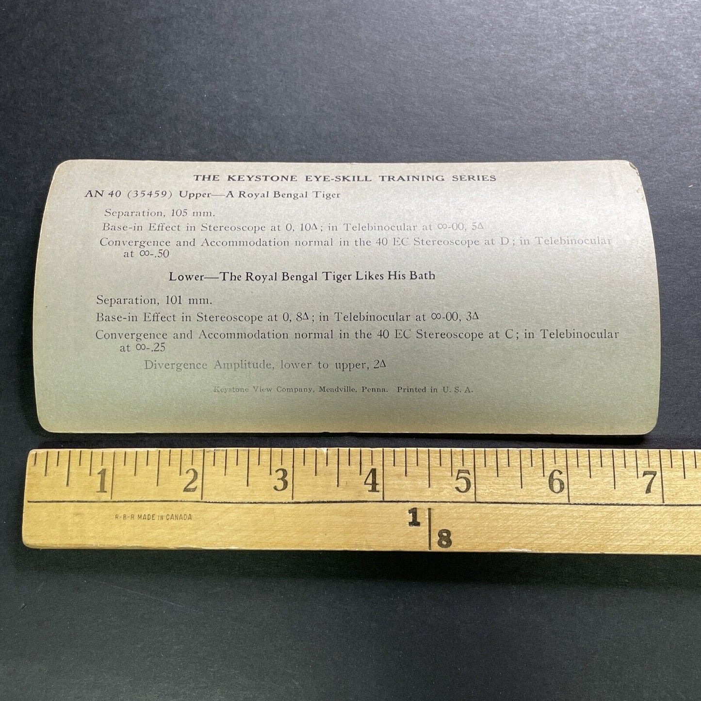 Antique 1920s Eye Training Slide (Bengal Tiger) Stereoview Photo Card P1280