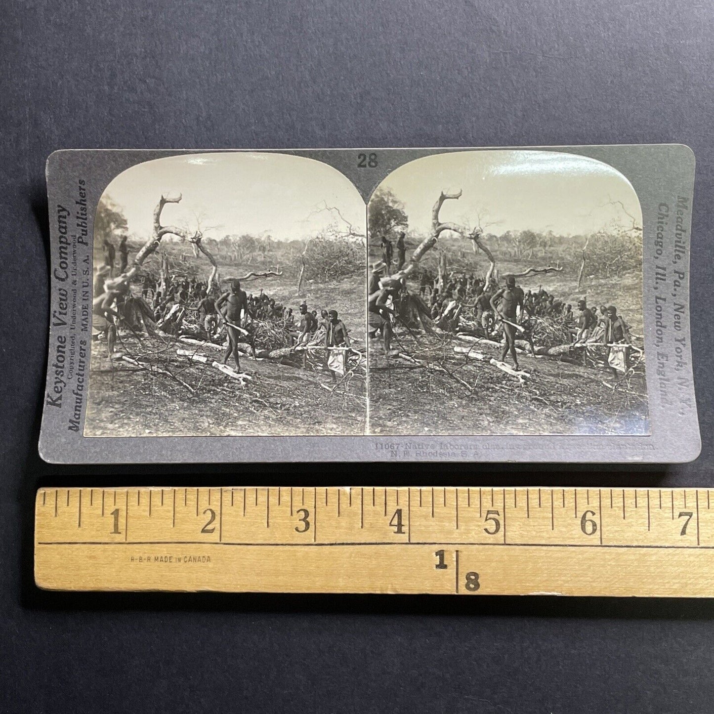 Antique 1919 People In Zimbabwe Clear The Land Stereoview Photo Card P1694