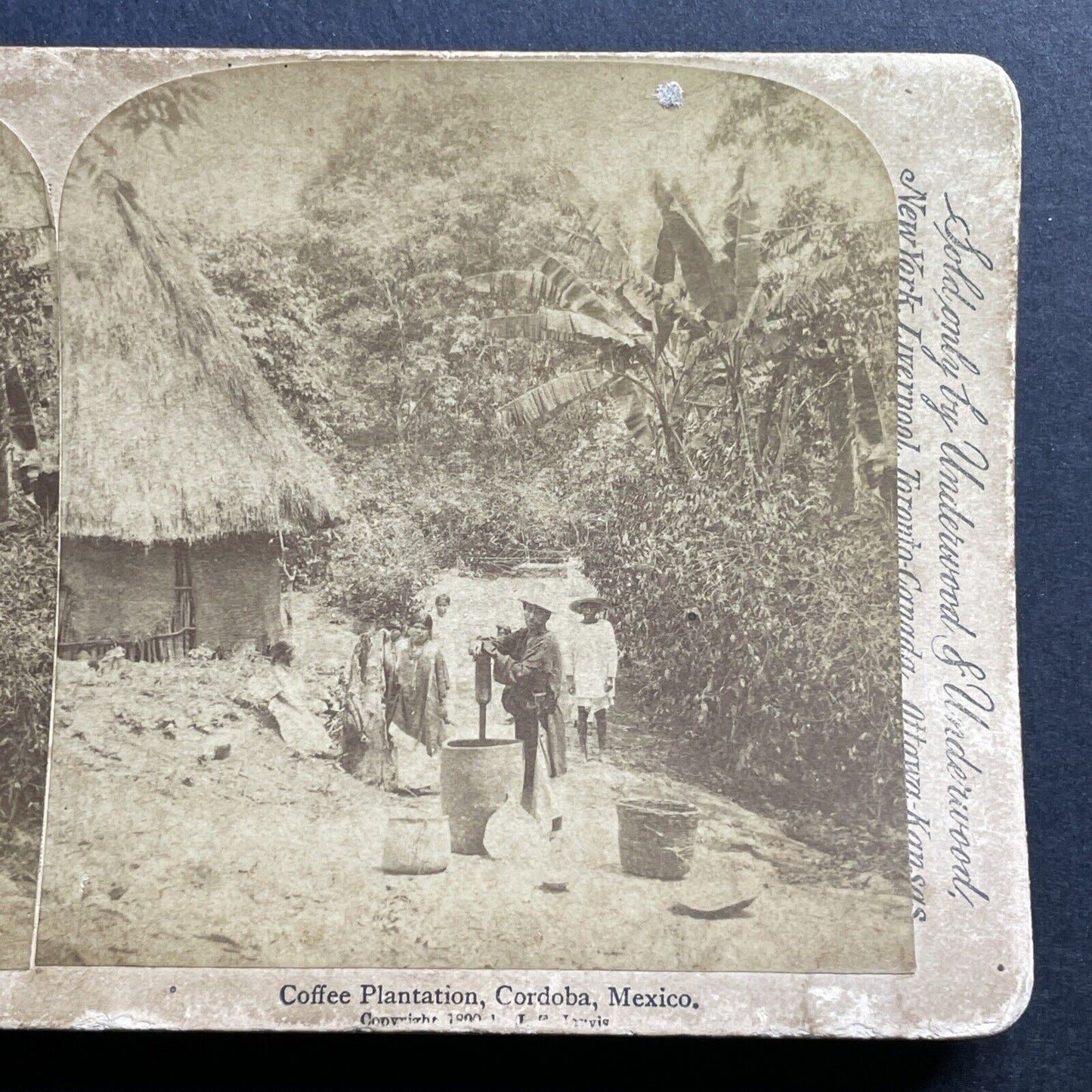 Antique 1890 Coffee Plantation Cordoba Mexico Stereoview Photo Card P1770