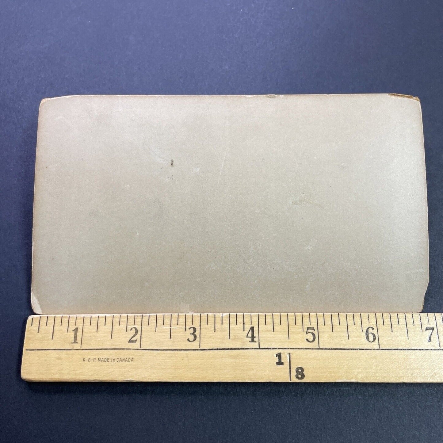 Antique 1860s Seal Rocks San Francisco California Stereoview Photo Card P3551