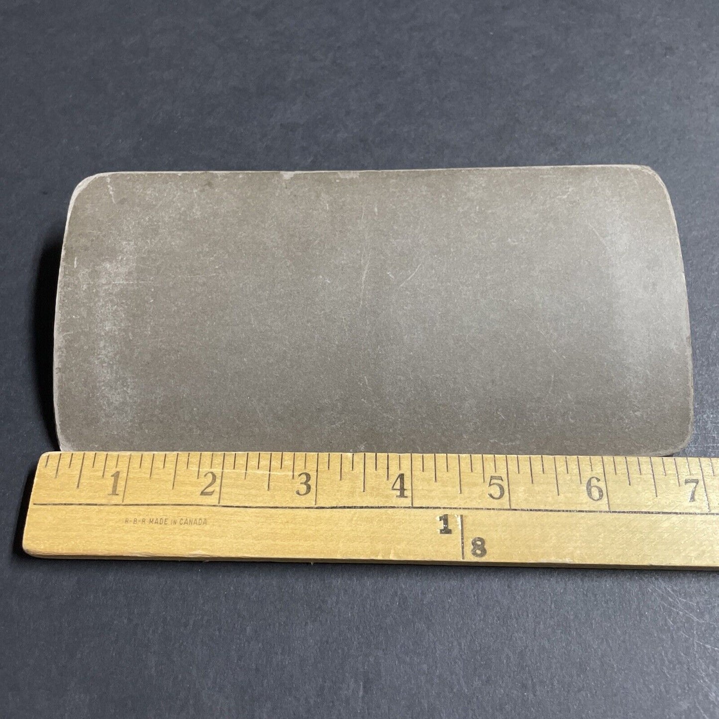 Antique 1903 Child Leads Two Massive Bulls Bull Cows Stereoview Photo Card P4357