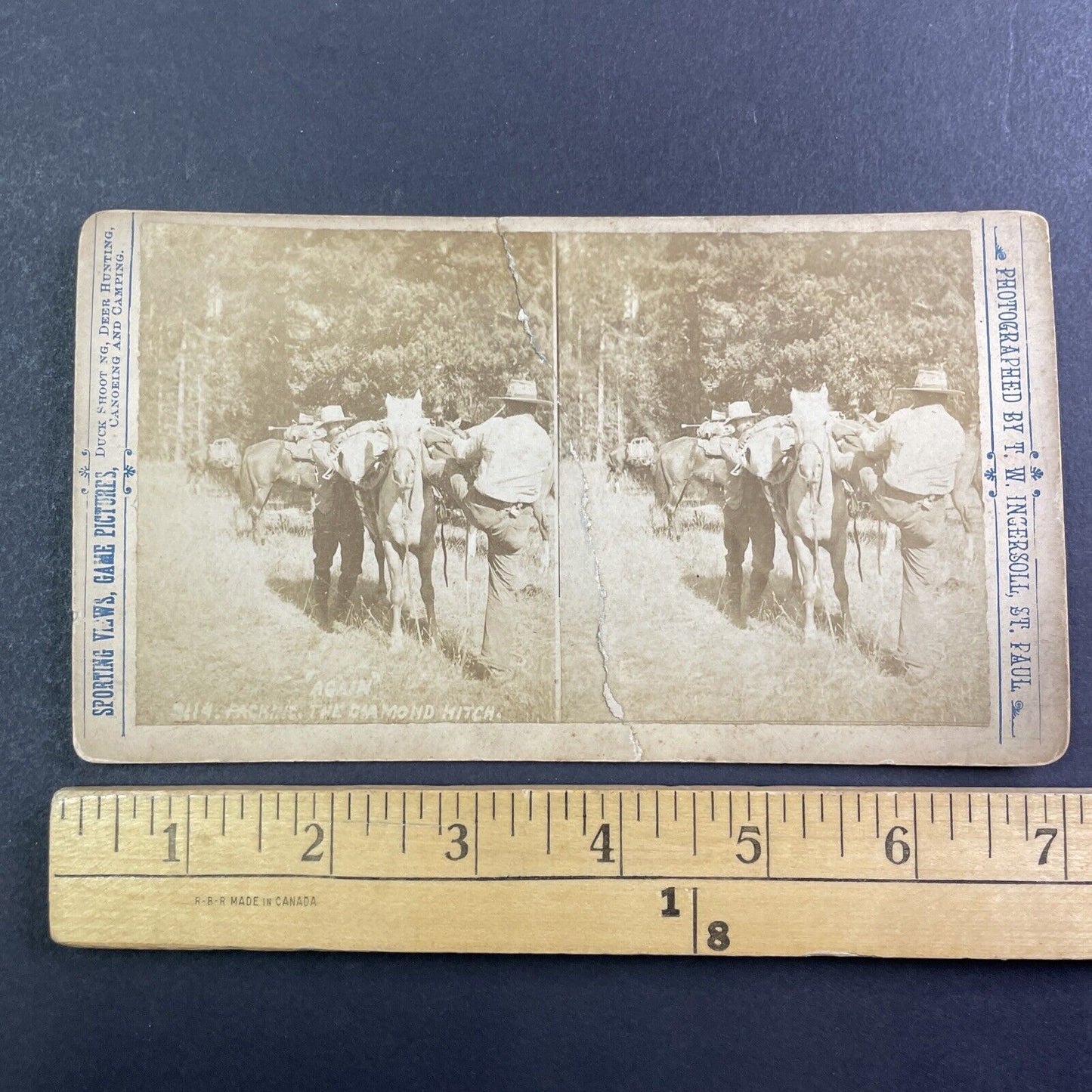 T.W. Ingersoll Self-Portrait Packing Horse Stereoview Antique c1888 Y427 CREASE