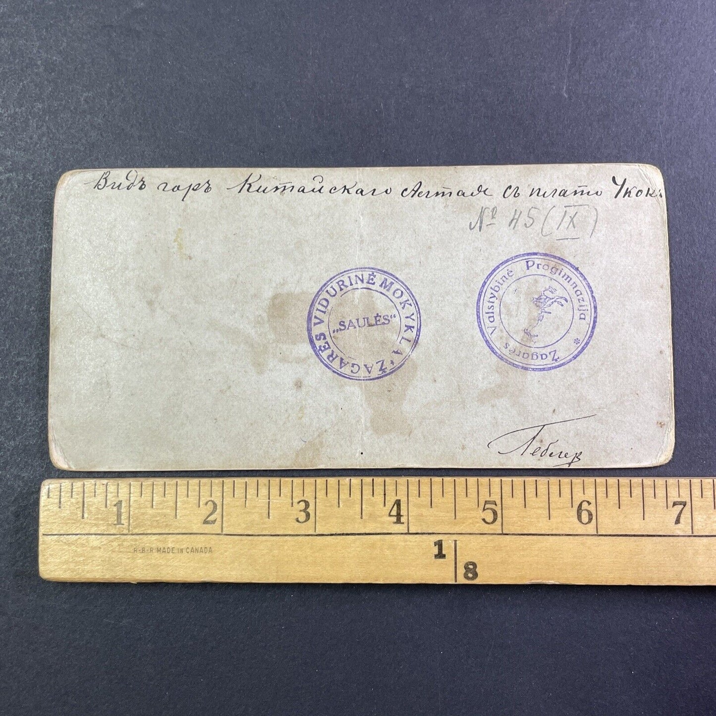 Ukok Plateau Altai Siberia Russia Stereoview IR Tomashkevich Antique c1896 X2626