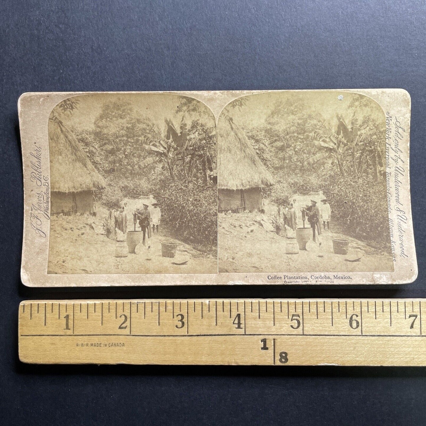 Antique 1890 Coffee Plantation Cordoba Mexico Stereoview Photo Card P1770