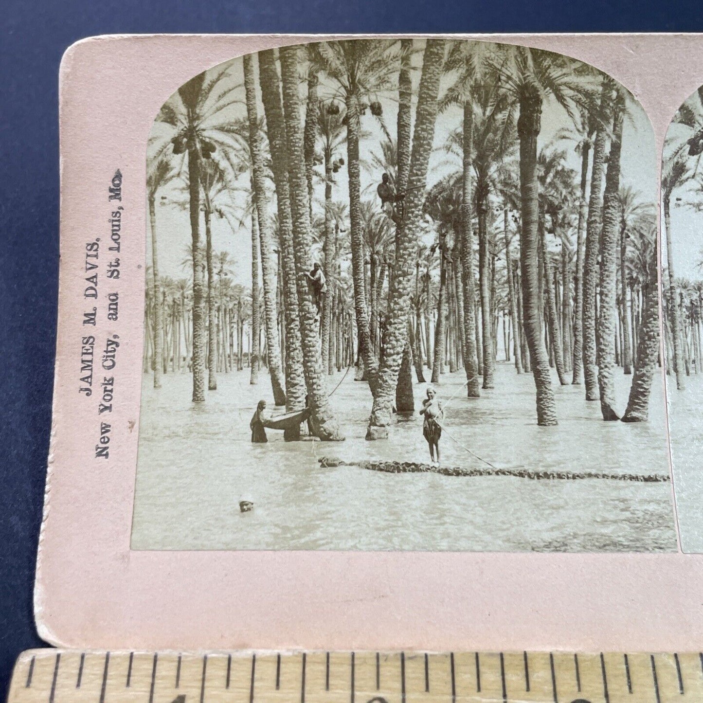 Antique 1898 The Great Nile Flood Of '98 Egypt Stereoview Photo Card P3821