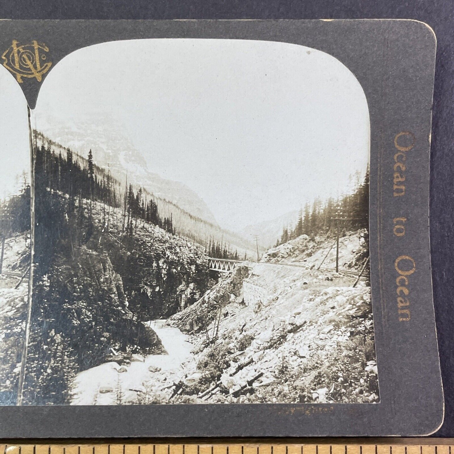 Kicking Horse Pass Train Bridge Alberta Stereoview CPR Rail Views c1905 Y2122