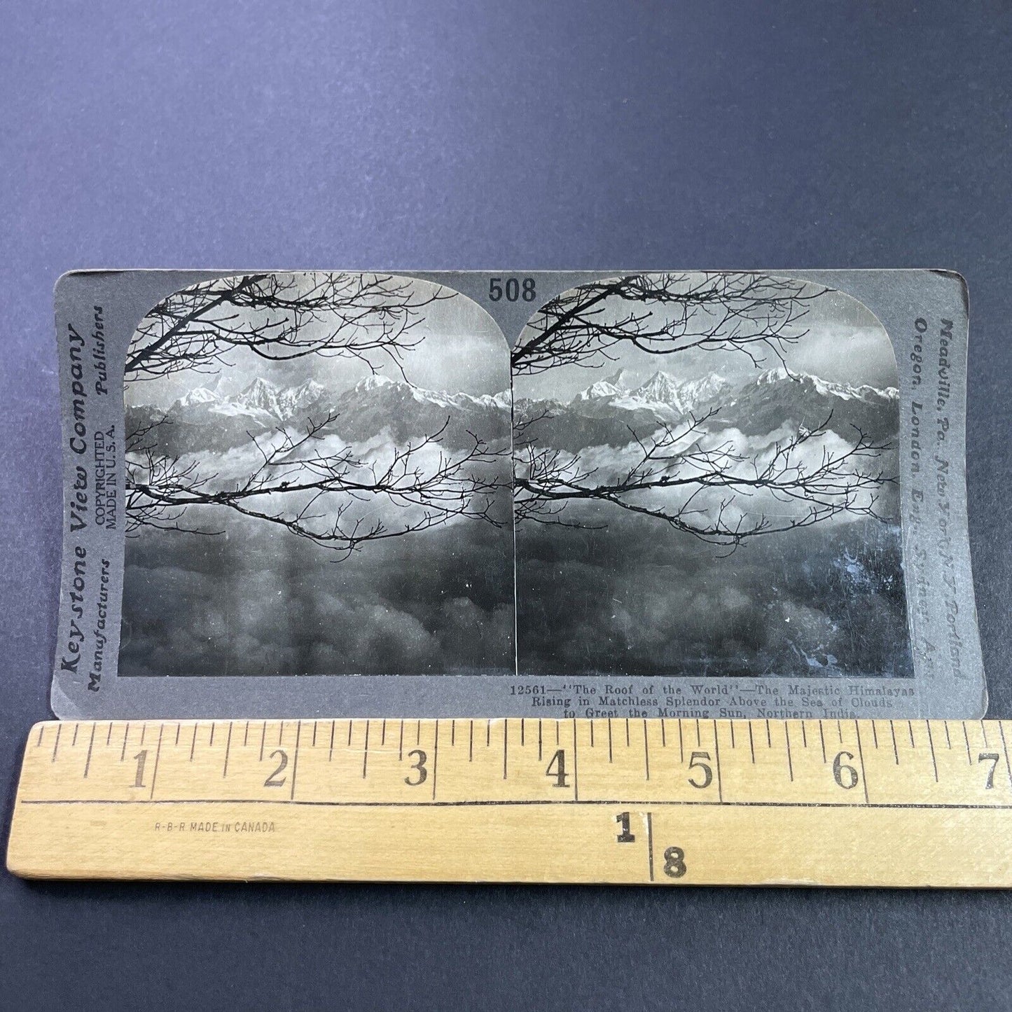 Antique 1910s Himalayan Mountains In Nepal Stereoview Photo Card P3748