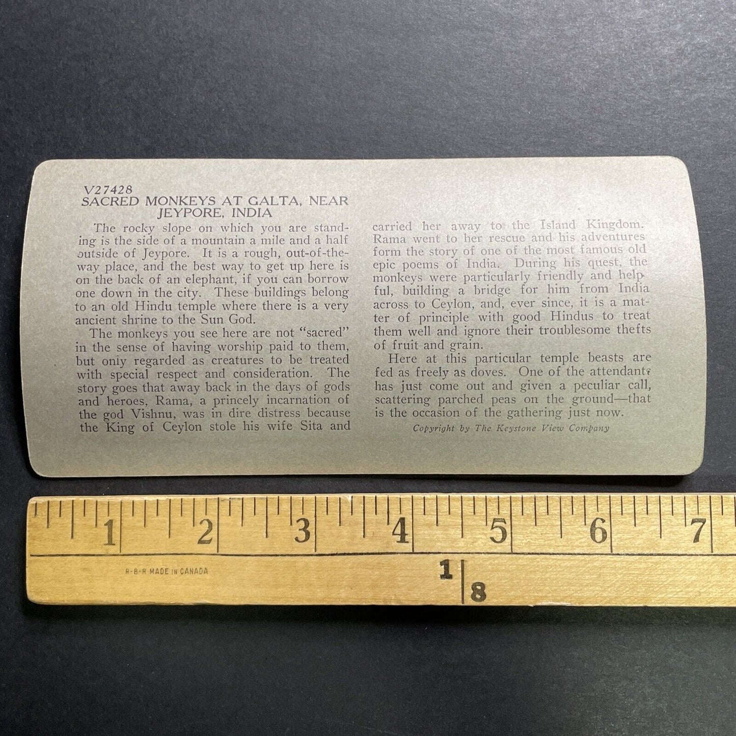 Antique 1918 Monkey Colony In Jaipur India Stereoview Photo Card P1356