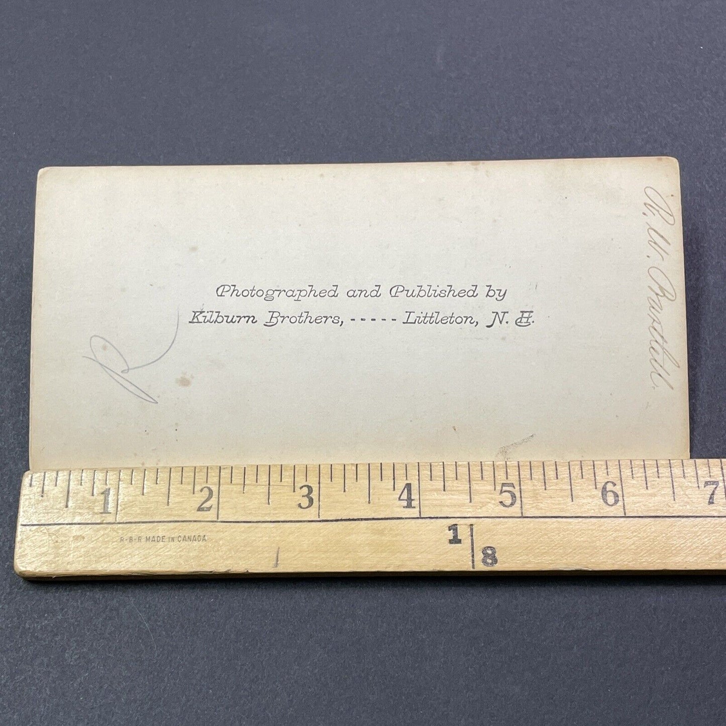Antique 1870s Wild Ferns Grow In Crawford Notch NH Stereoview Photo Card V1986