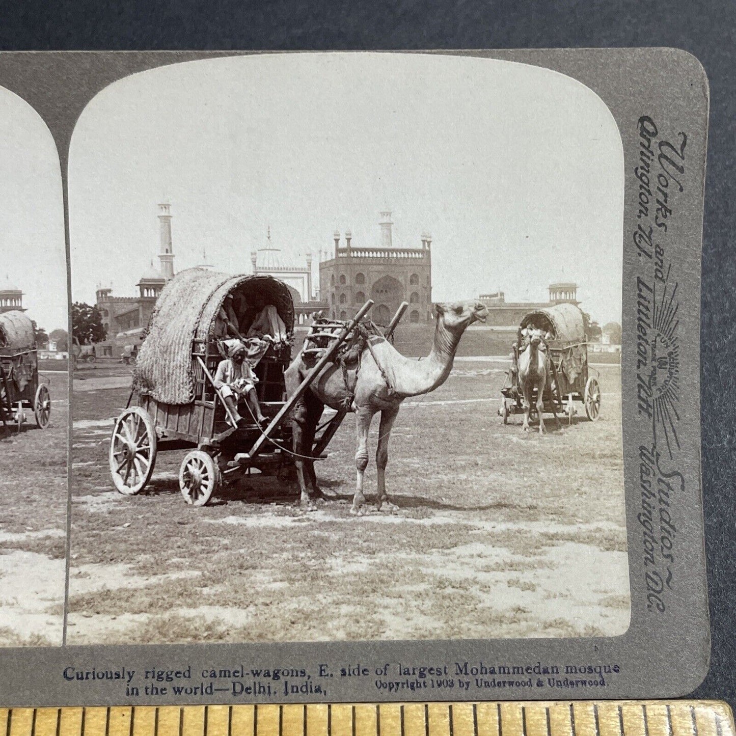 Antique 1903 Camel Pulls A Covered Wagon In India Stereoview Photo Card P5656
