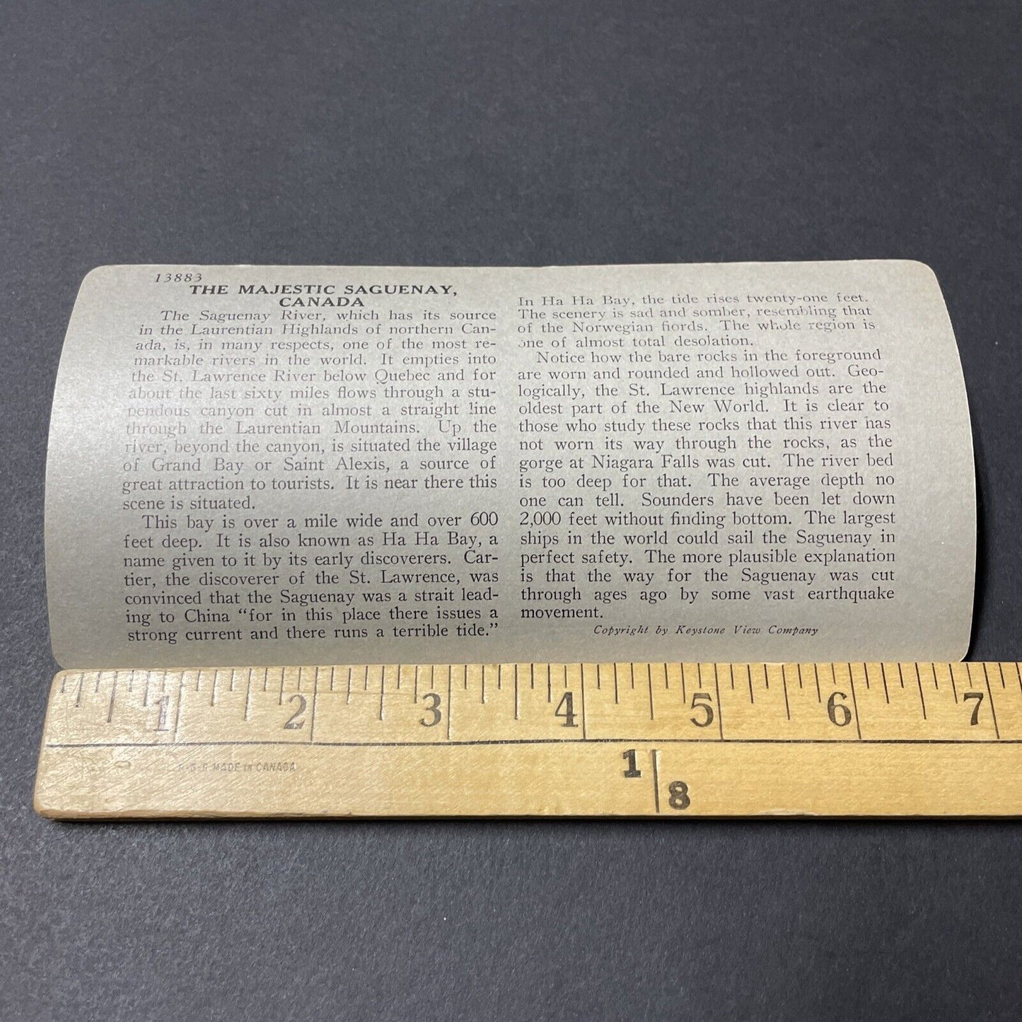 Antique 1910s Saguenay–St. Lawrence Marine Park QUE Stereoview Photo Card V2621