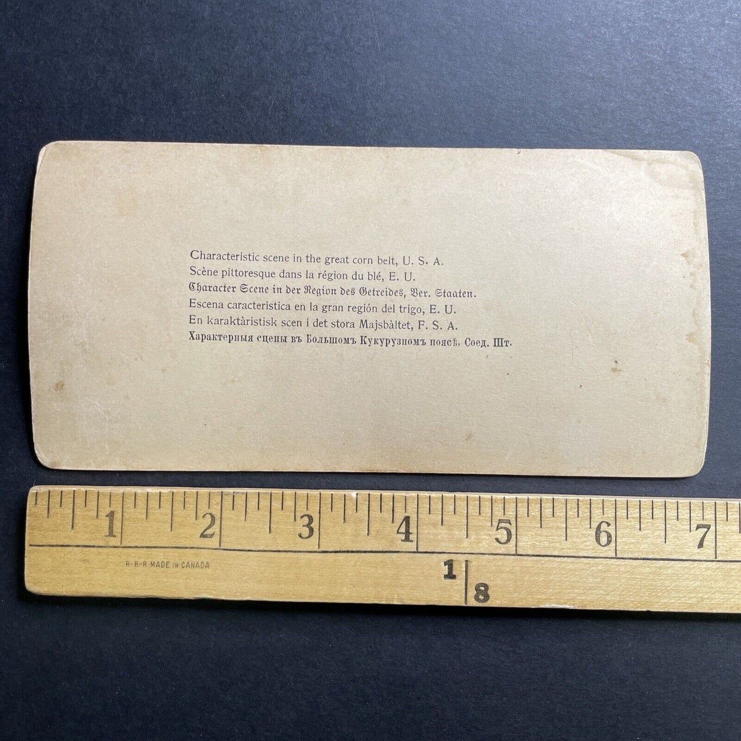 Antique 1890s Corn Field In Wisconsin Farmland Stereoview Photo Card P1556