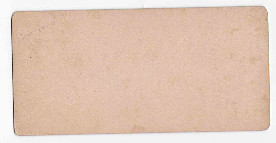 Antique 1880s Southern Germany Vacation Resort In Mountains Stereo Card P231