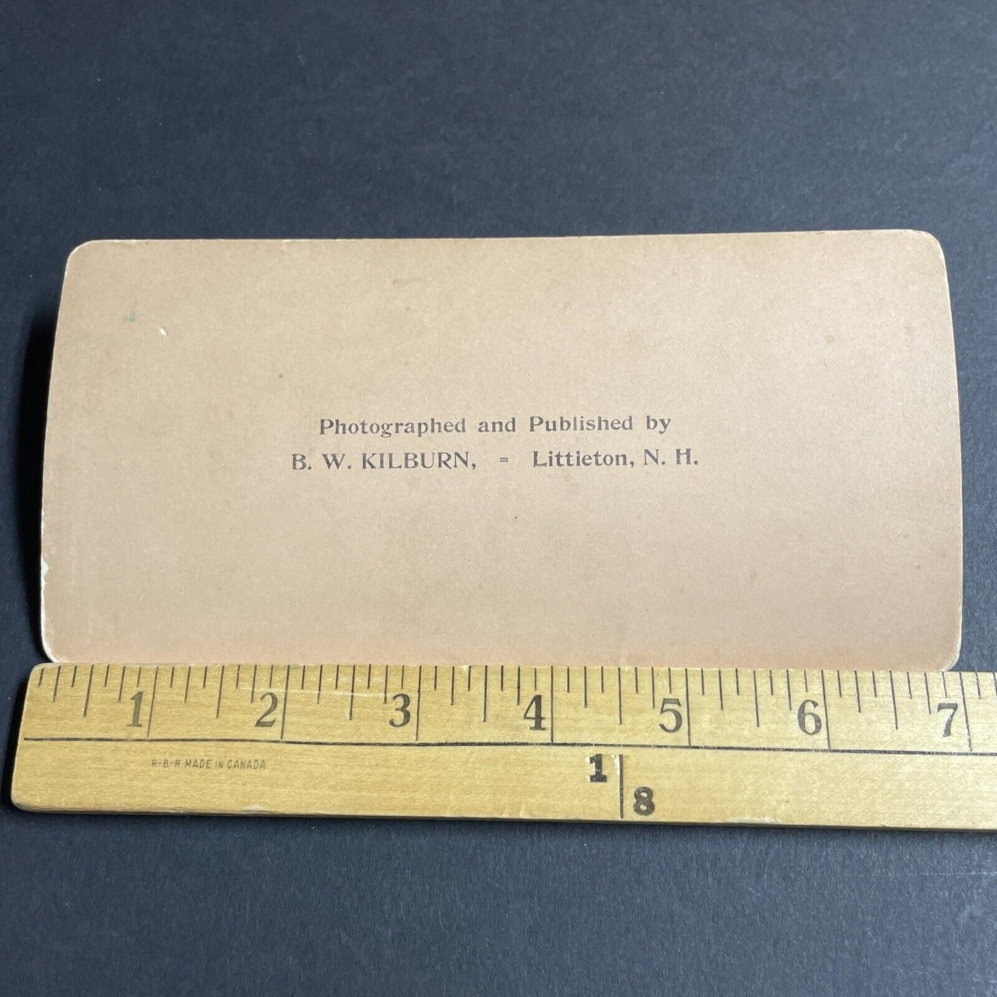 Antique 1903 The Great Twisted Basswood Tree Tegel DE Stereoview Photo Card 4497