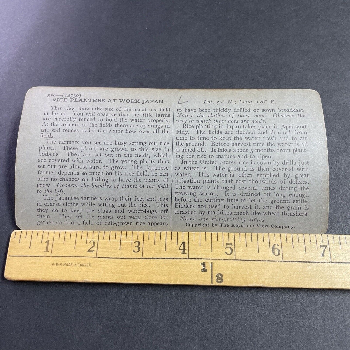 Antique 1909 Planting Rice In Fields Japan Stereoview Photo Card P3622