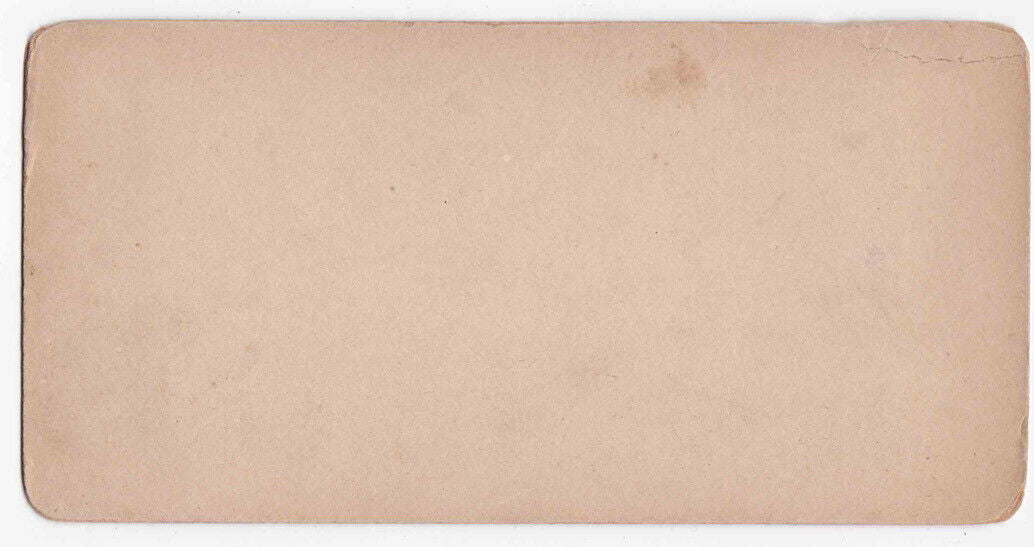 Antique 1880s Chicago West Side Waterworks Gothic Water Tower Photo Card P054