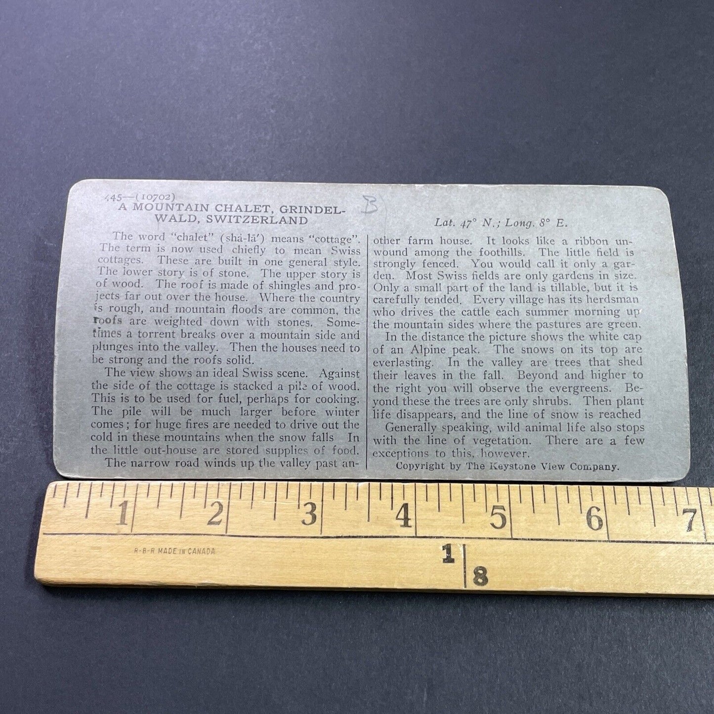 Antique 1910s Grindelwald Village Switzerland Swiss Stereoview Photo Card P3751