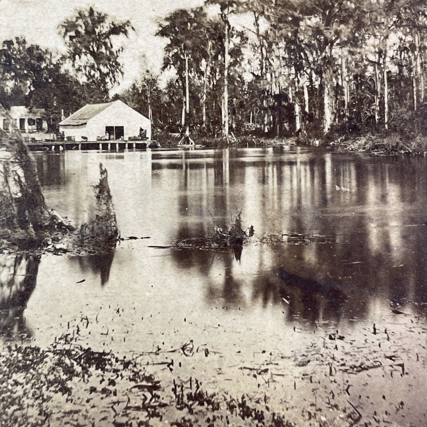 Silver Springs Hotel Lodge Florida Stereoview Ocklawaha River 1870s Y2486 CREASE