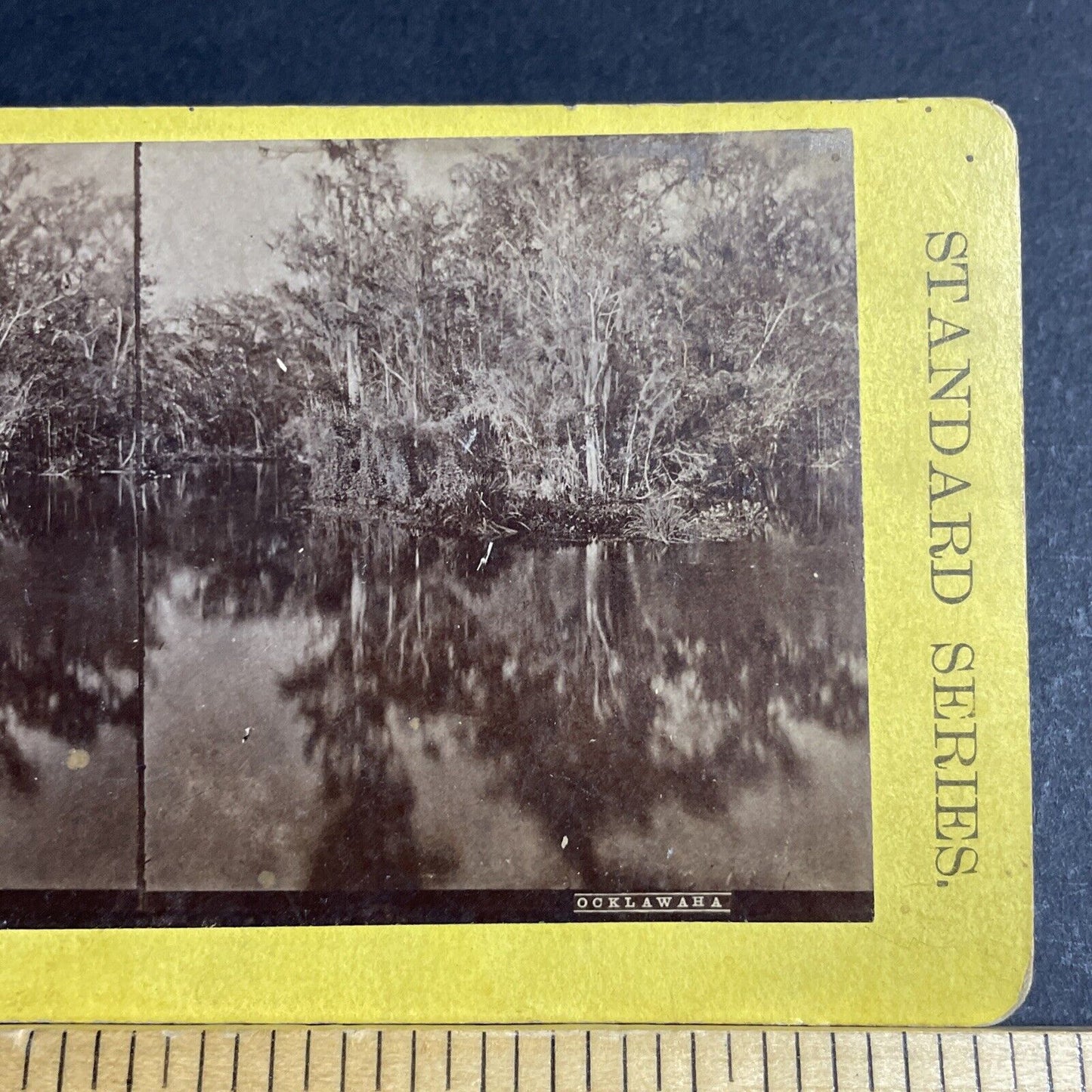 Antique 1870s Ocklawaha River Swamp Florida Stereoview Photo Card P4775